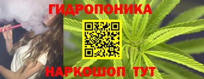 гидра Кинель