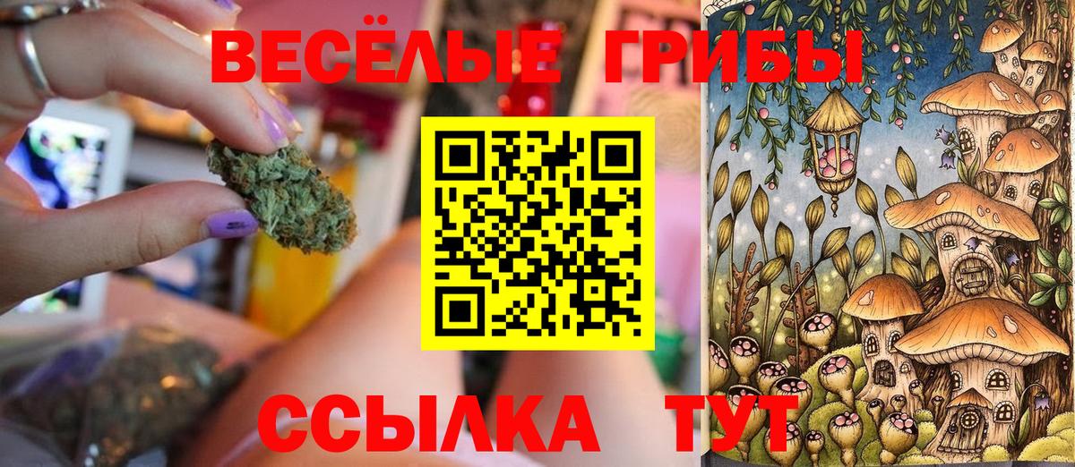 Галлюциногенные грибы Magic Shrooms  Галлюциногенные грибы Psilocybe  Камышлов  Вход с VPN 