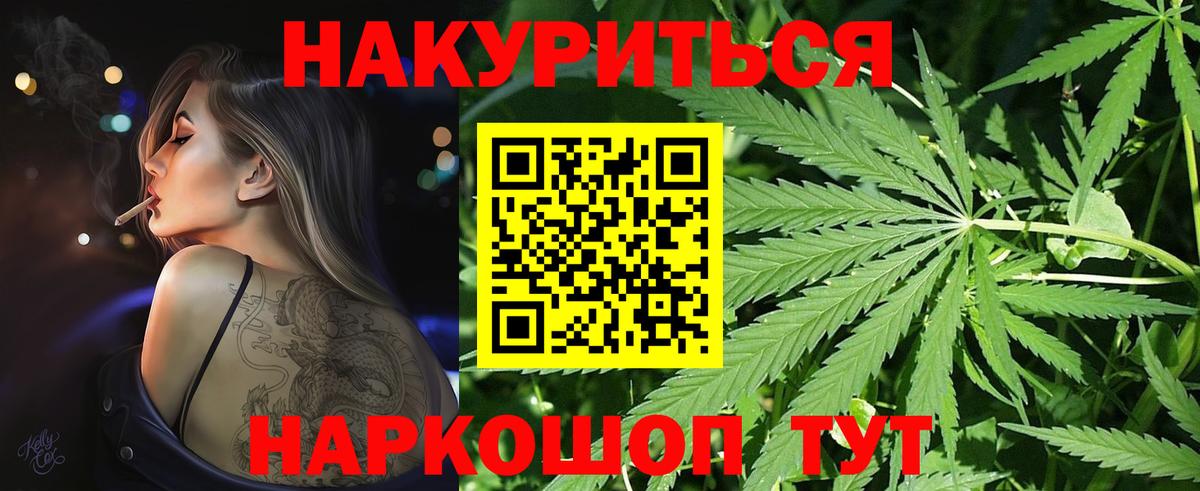 Бошки Шишки план  Каннабис планчик  Конопля семена  Камышлов  Вход с VPN 
